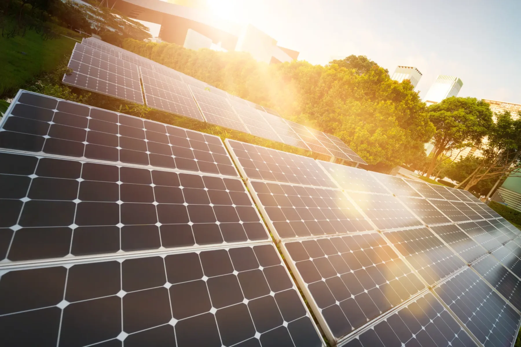 Paneles solares en un campo con luz solar, rodeados de árboles y edificios, representando energía renovable y sostenibilidad.